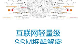互联网轻量级SSM框架解密:Spring、Spring MVC、MyBatis源码深度剖析