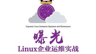 曝光:Linux企业运维实战