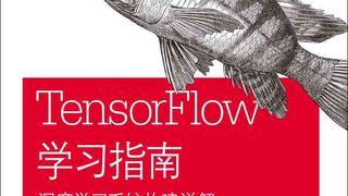 TensorFlow学习指南:深度学习系统构建详解